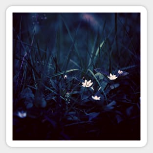 White Petal Flowers and Grass Sticker